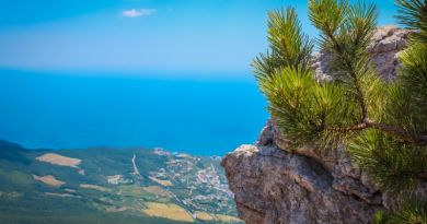 Экскурсия из Алупки: Ай-Петри (авто) фото 6144