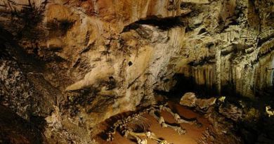 Экскурсии в Мраморную пещеру из Оползневого 2024