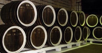 Экскурсии в Инкерманский завод марочных вин из Оползневого 2025