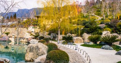 Экскурсии в Японский сад "Шесть чувств" в отеле "Мрия" из Оползневого 2024