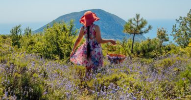 Экскурсия из Севастополя: Чарующая магия Гурзуфа: императорские парки, чехов фото 10287 Экскурсия из Севастополя: Чарующая магия Гурзуфа: императорские парки, чехов фото 10287