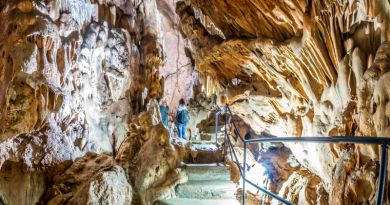 Экскурсии в Скельская пещера из Оползневого 2024