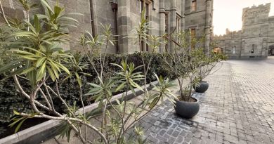 Авто-пешеходная экскурсия из Севастополя (фото 28)
