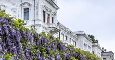 Авто-пешеходная экскурсия из Севастополя (фото 4)
