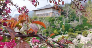 Экскурсия из Симеиза: Японский сад &quot;Шесть чувств&quot; фото 10858